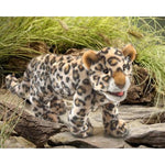 Leopard Cub 3176