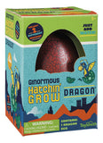 Ginormous Grow Dragon - Ages 5+ - CR Toys