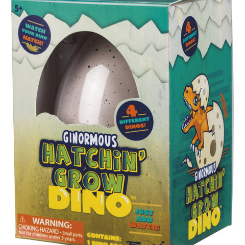 Ginormous Grow Dino Egg - Ages 5+ - CR Toys