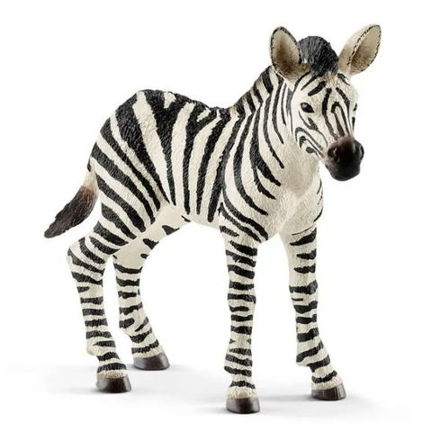 Zebra Foal Figurine 14811
